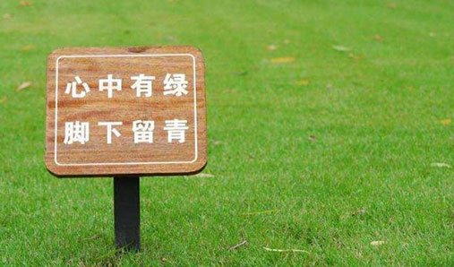 現在公園標識設計都純在哪些問題？